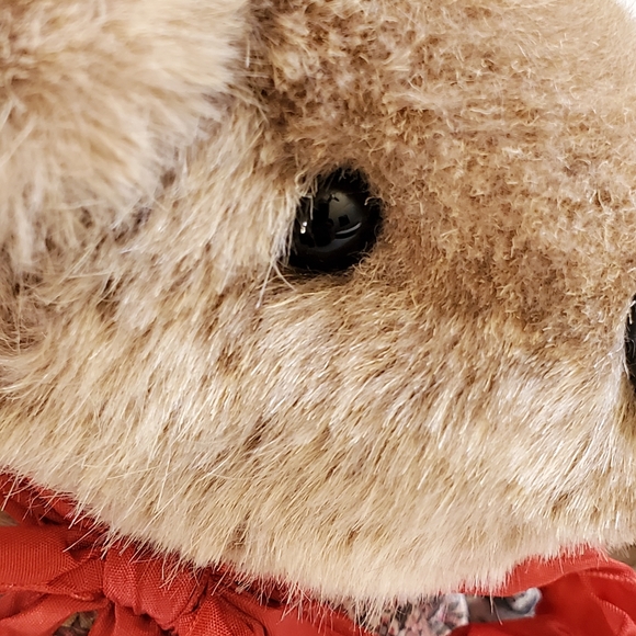 Very Rare Beaver Valley "Honey Baby" Bear Plush Doll Kaylee Nilan - Picture 12 of 16